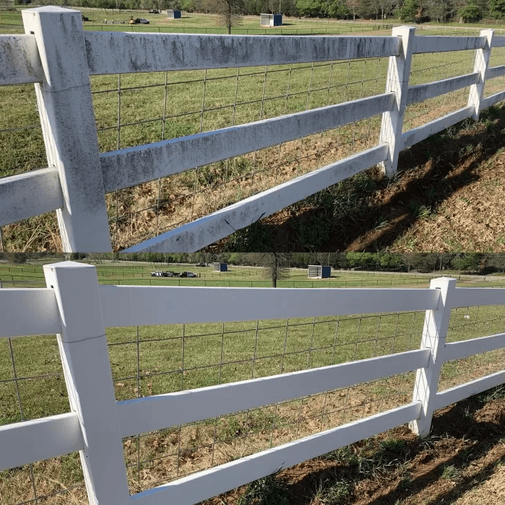 Fence Revival